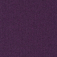 Ковровая плитка Modulyss Millennium Nxtgen Millennium Nxtgen 411 фото 1 | FLOORDEALER